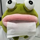 Caixa de lenços em forma de Sapo