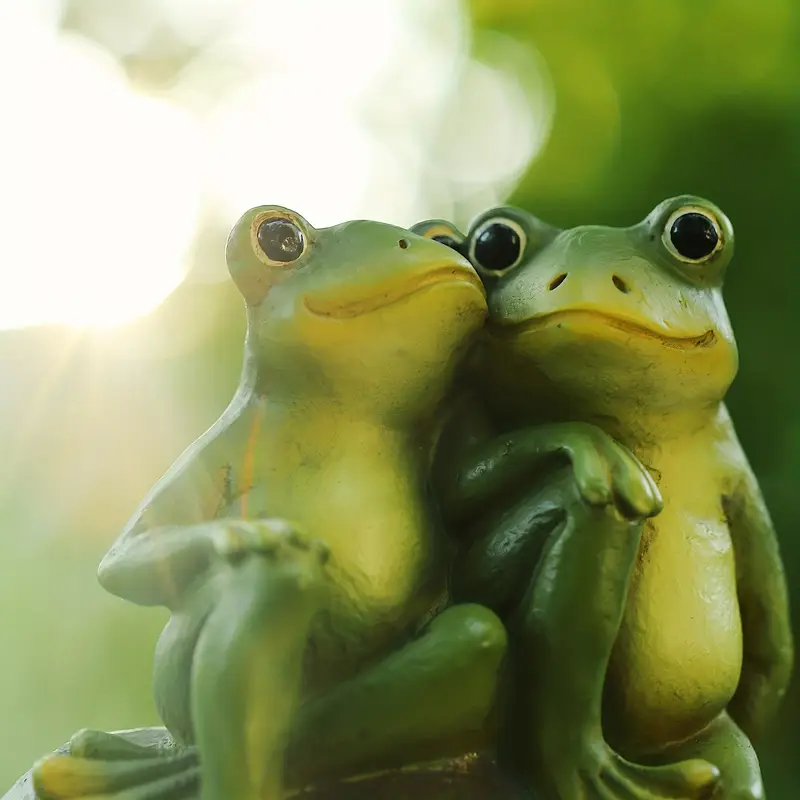 Casal de sapos em miniatura