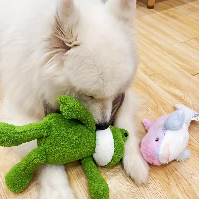 Sapo de pelúcia para cães