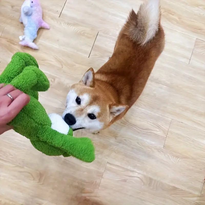 Sapo de pelúcia para cães