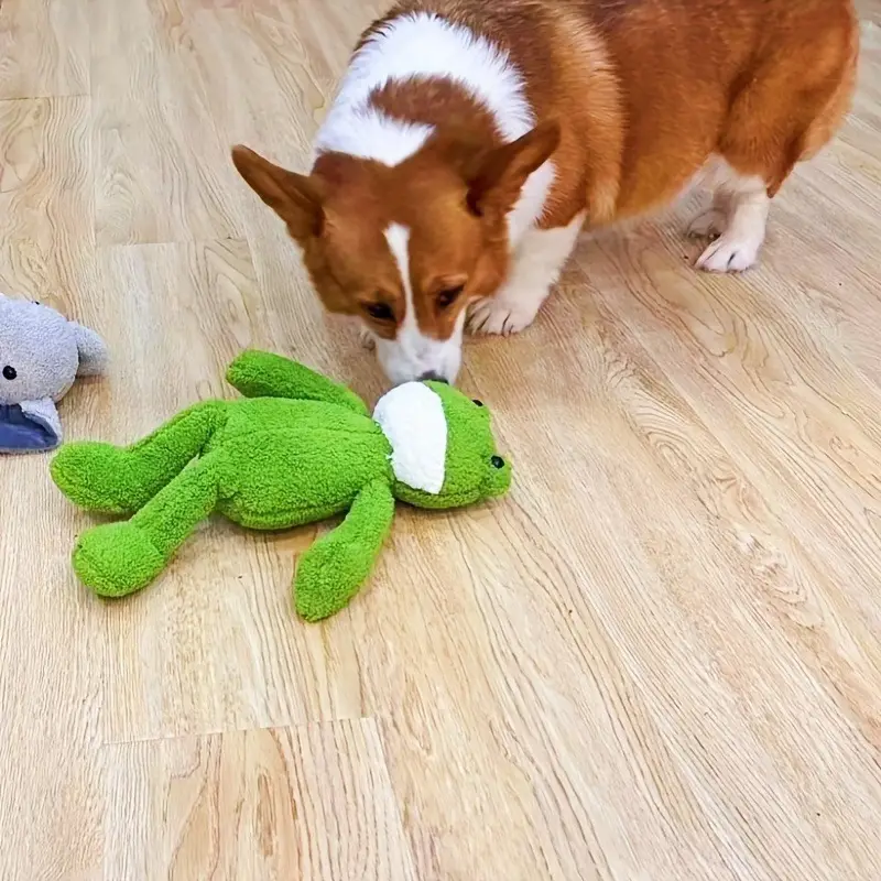 Sapo de pelúcia para cães