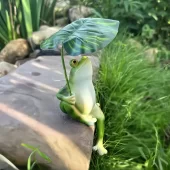 Sapo encantador segurando uma folha