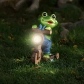 Sapo montado na bicicleta