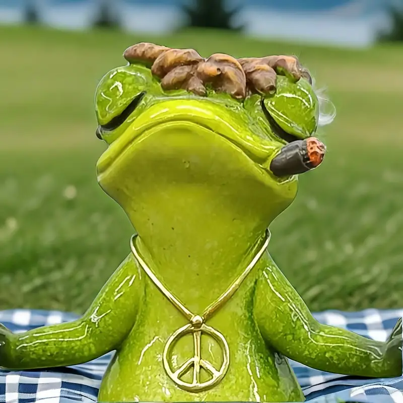 Sapo Yoga e Meditação
